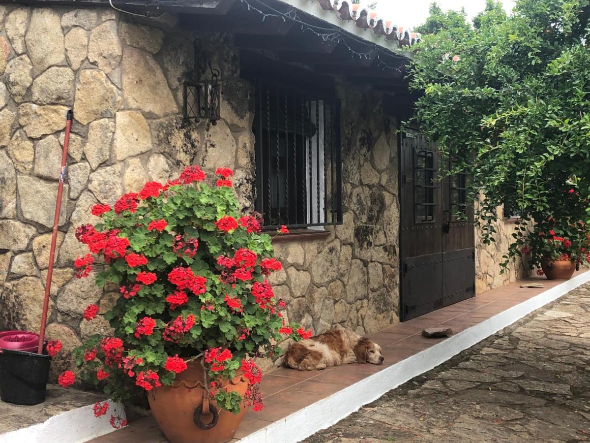 Finca Vergel Gata Exterior foto