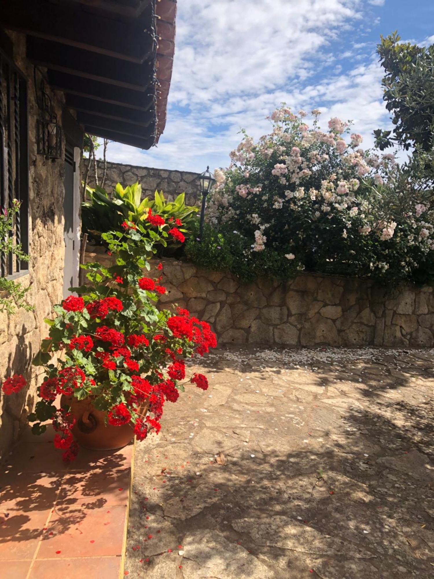 Finca Vergel Gata Exterior foto